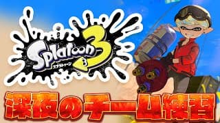 【スプラトゥーン3】深夜のチーム練習！【にじさんじ / 緋八マナ】