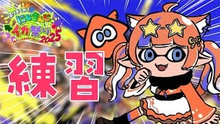 〖スプラトゥーン3〗個人練習！視野広く！！🦑#にじイカ祭り2025〖猫屋敷美紅 / にじさんじ〗