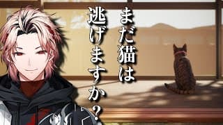 【まだ猫は逃げますか？】猫と紐解く不気味な物語【セラフ・ダズルガーデン/にじさんじ】