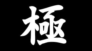 🔴𝔽𝔽𝟙𝟜 | 極 | ネタバレ注意【静凛/にじさんじ】