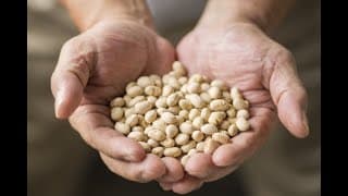 【ついに開封】9か月前に作った味噌の蓋開けてみる【にじさんじ】