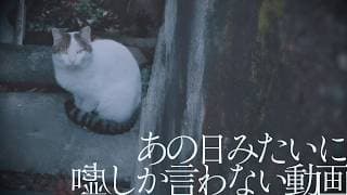 あの日みたいに嘘しか言わない動画